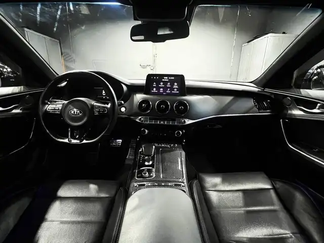 Kia Stinger view 14