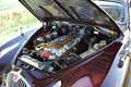 Jaguar MK1 4.2 Litre Concours Staat Rot - thumbnail 24