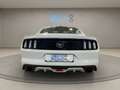 Ford Mustang Fastback 2.3 EcoBoost Aut. Bianco - thumbnail 4
