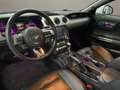 Ford Mustang Fastback 2.3 EcoBoost Aut. Bianco - thumbnail 8