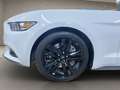 Ford Mustang Fastback 2.3 EcoBoost Aut. Bianco - thumbnail 12