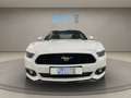Ford Mustang Fastback 2.3 EcoBoost Aut. Bianco - thumbnail 13