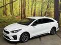 Kia ProCeed / pro_cee'd 1.4 T-GDI GT-Line 140 PK Automaat Navi Camera Dode Blanc - thumbnail 1