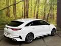 Kia ProCeed / pro_cee'd 1.4 T-GDI GT-Line 140 PK Automaat Navi Camera Dode Blanc - thumbnail 11