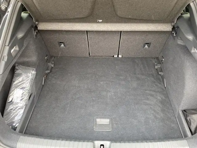 Cupra Terramar view 14