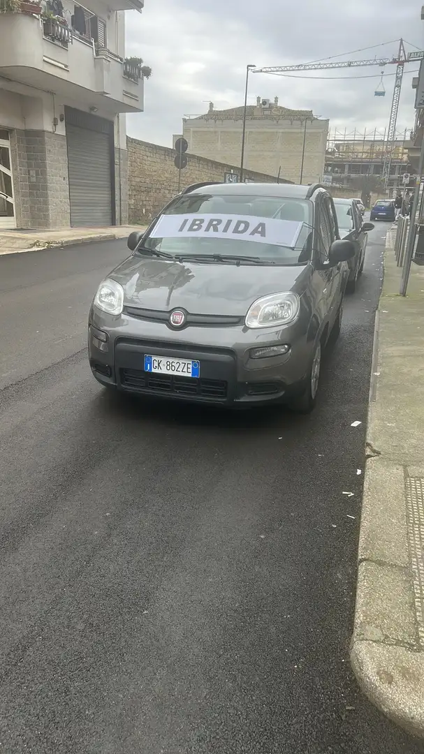 Fiat Panda 1.0 firefly hybrid City Cross s&s 70cv 5p.ti - 1