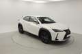 Lexus UX 250h BUSINESS 2.0 HYBRID 184 CV AUTO 5P Blanc - thumbnail 6