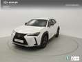Lexus UX 250h BUSINESS 2.0 HYBRID 184 CV AUTO 5P Blanc - thumbnail 1