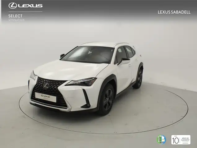 Lexus UX 250h BUSINESS 2.0 HYBRID 184 CV AUTO 5P