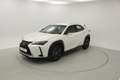 Lexus UX 250h BUSINESS 2.0 HYBRID 184 CV AUTO 5P Blanc - thumbnail 4