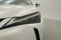 Lexus UX 250h BUSINESS 2.0 HYBRID 184 CV AUTO 5P Blanc - thumbnail 23