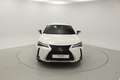 Lexus UX 250h BUSINESS 2.0 HYBRID 184 CV AUTO 5P Blanc - thumbnail 5