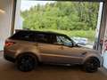 Land Rover Range Rover Sport 3,0 i6 D300 MHEV AWD HSE Aut./PANORAMA/LED/HEAD... Grau - thumbnail 50
