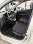 Kia Picanto Picanto 1.0 LX STYLE Bianco - thumbnail 8