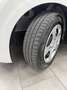 Kia Picanto Picanto 1.0 LX STYLE Bianco - thumbnail 5