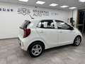 Kia Picanto Picanto 1.0 LX STYLE Bianco - thumbnail 2