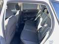 Volkswagen Taigo Style 1.5 TSI DSG Pano/AppCon/Kam/Assist Weiß - thumbnail 12