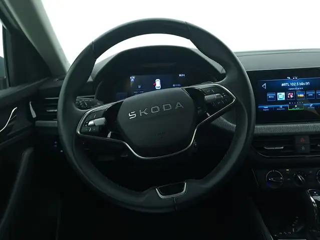 Skoda Kamiq view 11