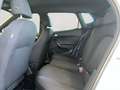 SEAT Arona FR Weiß - thumbnail 15