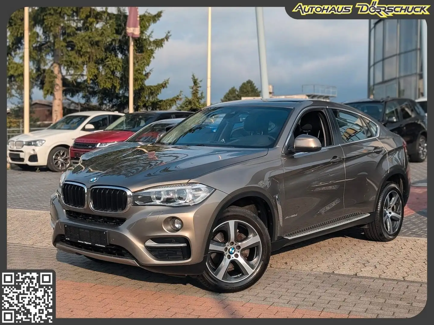 BMW X6 xDrive 30 d Navi. Sitzh. Temp. LED. BT Marrón - 1