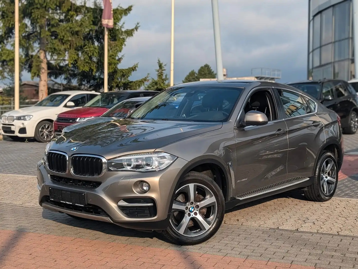 BMW X6 xDrive 30 d Navi. Sitzh. Temp. LED. BT Marrón - 2