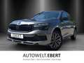 Skoda Kamiq Tour 1,0 TSI 85 kW DSG RFK/LED/el. Heckkl. Grau - thumbnail 1