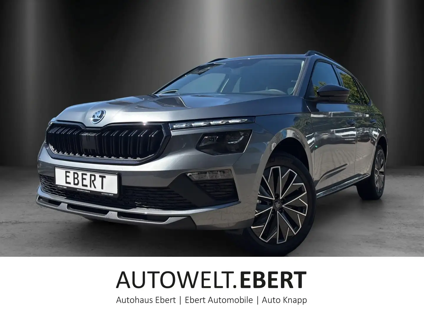 Skoda Kamiq Tour 1,0 TSI 85 kW DSG RFK/LED/el. Heckkl. Grau - 1