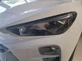 CUPRA Terramar 1.5 e-TSI 150 PS DSG - thumbnail 4