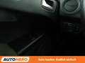 Ford Tourneo 1.0 EcoBoost Trend*TEMPO*PDC*SHZ*LIM* Weiß - thumbnail 25