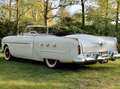 Studebaker Sonstige Packard 250 Convertible Weiß - thumbnail 7