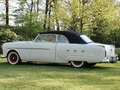 Studebaker Sonstige Packard 250 Convertible Weiß - thumbnail 4