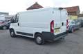 Citroen Jumper L1H1 3 Sitze Klima Temp Kam AHK Blanc - thumbnail 3