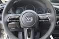 Mazda CX-30 SKYACTIV 140PS 6AG Exclusive-Line Navi Bej - thumbnail 15