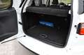 Ford EcoSport ST-Line Navi Teilleder Weiß - thumbnail 21