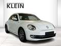 Volkswagen Beetle Allstar 1.2 TSI Navi Klima PDC SHZ Weiß - thumbnail 1