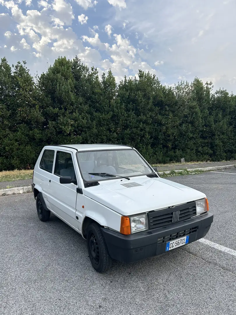 Fiat Panda 1.1 Young - 1