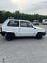 Fiat Panda 1.1 Young - thumbnail 4