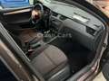 Skoda Octavia 1.2 TSI Combi Active*Sitzheizung*PDC* Brun - thumbnail 8