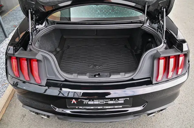 Ford Mustang view 9