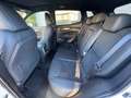 Nissan Qashqai Qashqai II  1.5 dci N-Tec 115cv dct Bianco - thumbnail 19