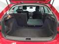 Skoda Scala -31% 1.0 TSI BVA 115cv+MIRRORLINK+CAM+LED+Opts Rouge - thumbnail 34
