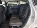 Ford Kuga 1.5 EcoB. Auto S&S Trend 4x2 120 Weiß - thumbnail 20