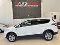 Ford Kuga 1.5 EcoB. Auto S&S Trend 4x2 120 Weiß - thumbnail 6