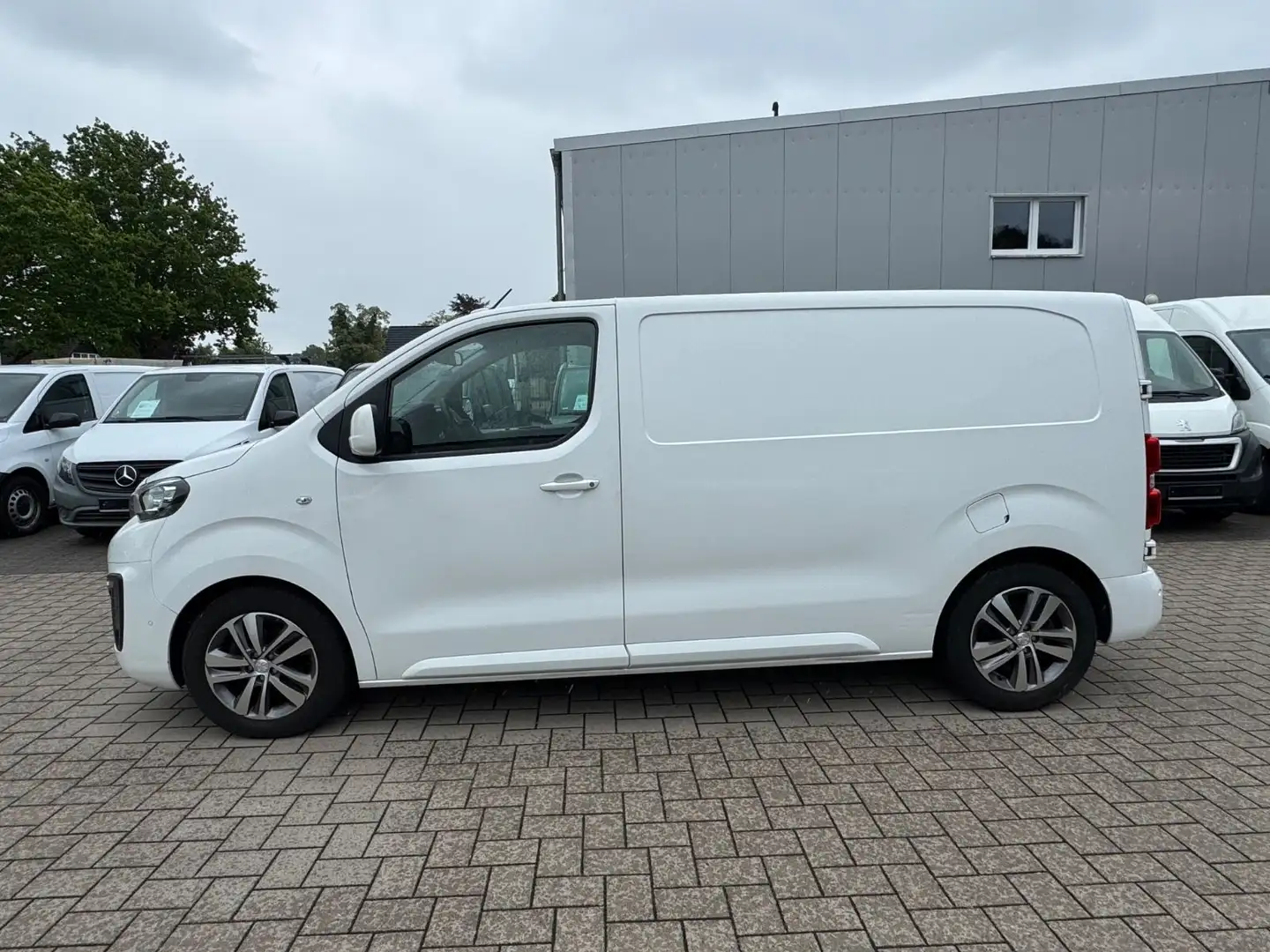 Peugeot Expert Kasten Premium L2/Head-Up/Tot-Winkel/PDC Blanco - 2