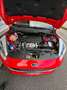Ford Fiesta Fiesta 5p 1.5 ecoblue (tdci) Plus 85cv my19 Rouge - thumbnail 9