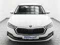 Skoda Octavia Combi 2.0 TDI STYLE Navi AHK Weiß - thumbnail 2