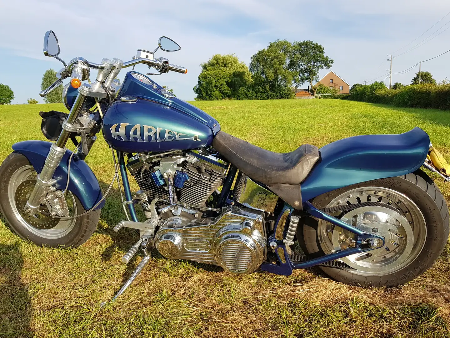 Harley-Davidson Custom Bike Softail Custon Azul - 1