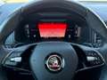 Skoda Karoq 2,0 Style TDI 4x4 DSG Blau - thumbnail 17