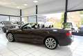 Audi A5 Cabriolet 1.8 TFSI S line Bovag Garantie Automaat Bruin - thumbnail 10