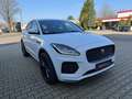 Jaguar E-Pace D180 R-DYNAMIC SE 4WD*Autom.*1.Hd*Garant* Weiß - thumbnail 1